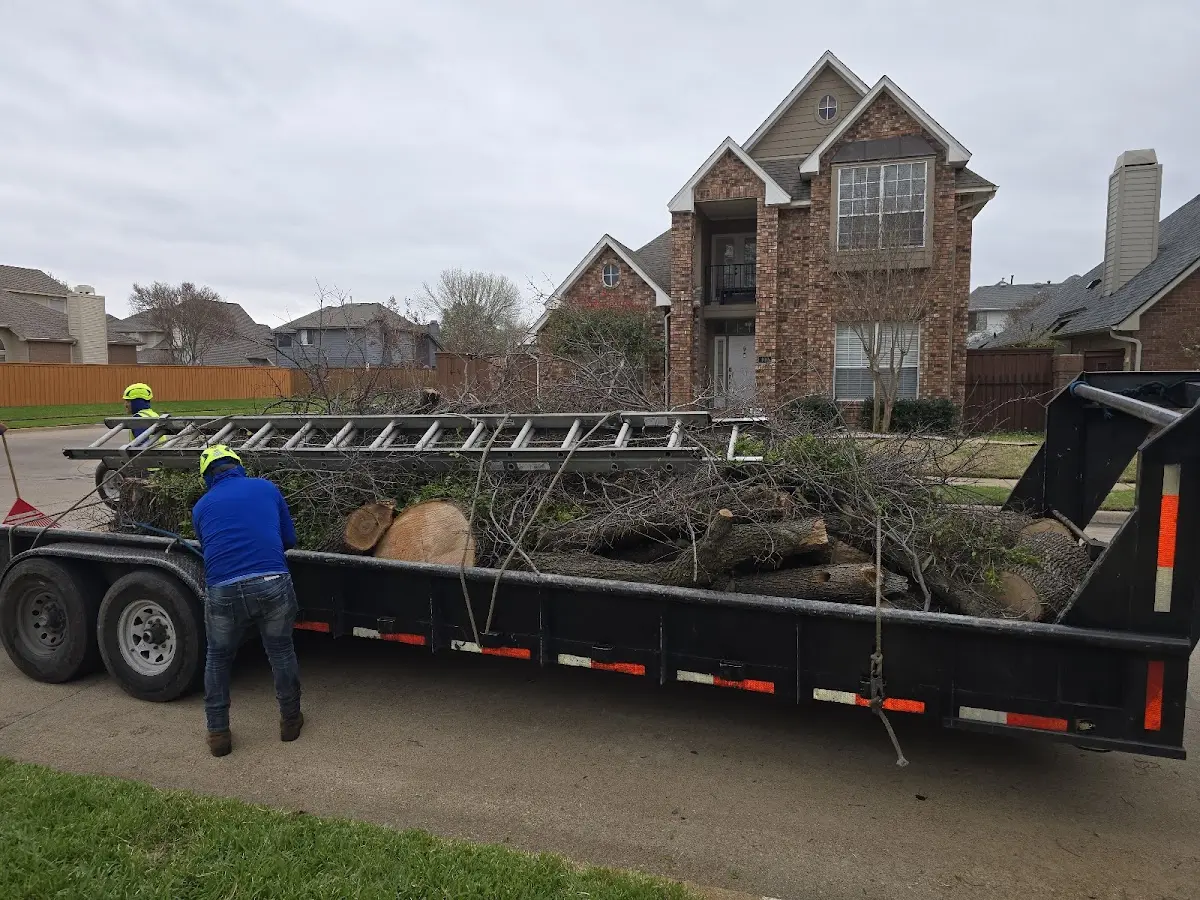 Expert Lot Clearing with proper safety equipment in Portland